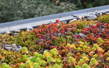the cost of Oldstead green roof installation