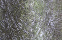 Oldstead fibreglass roof work